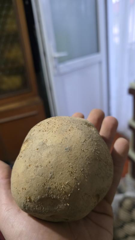 Компир